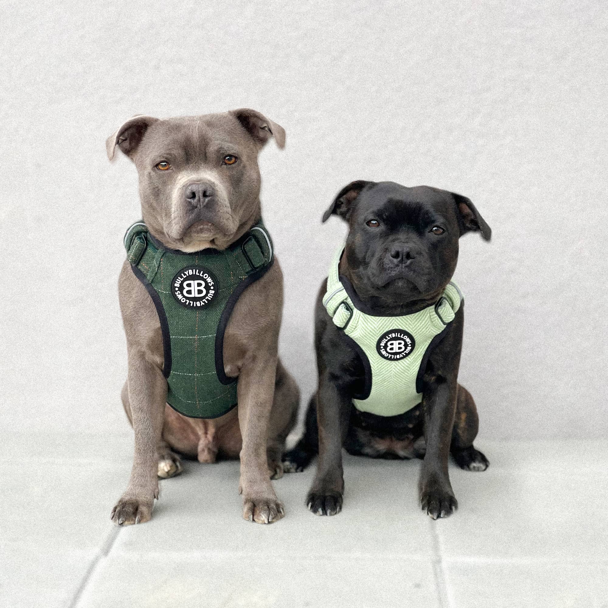 Thumbnail 11